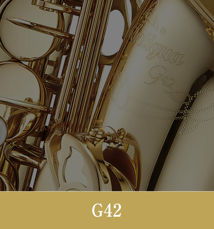 最安価格挑戦  アルトサックス+スタートセット GL 【調整済み】アンティグア 管楽器