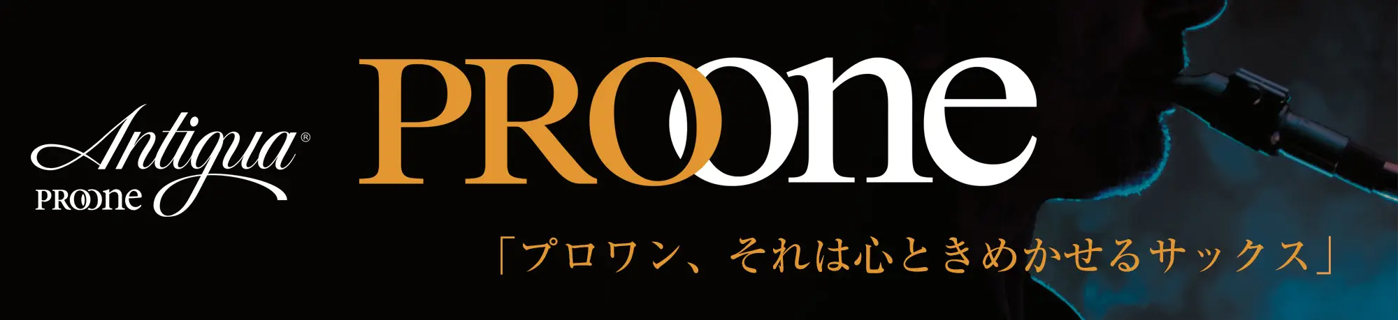 PRO ONE
