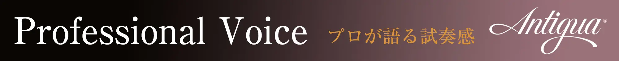 professonal voice