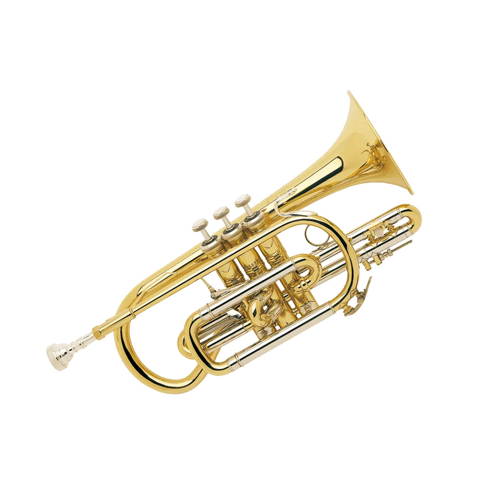 Cornet
