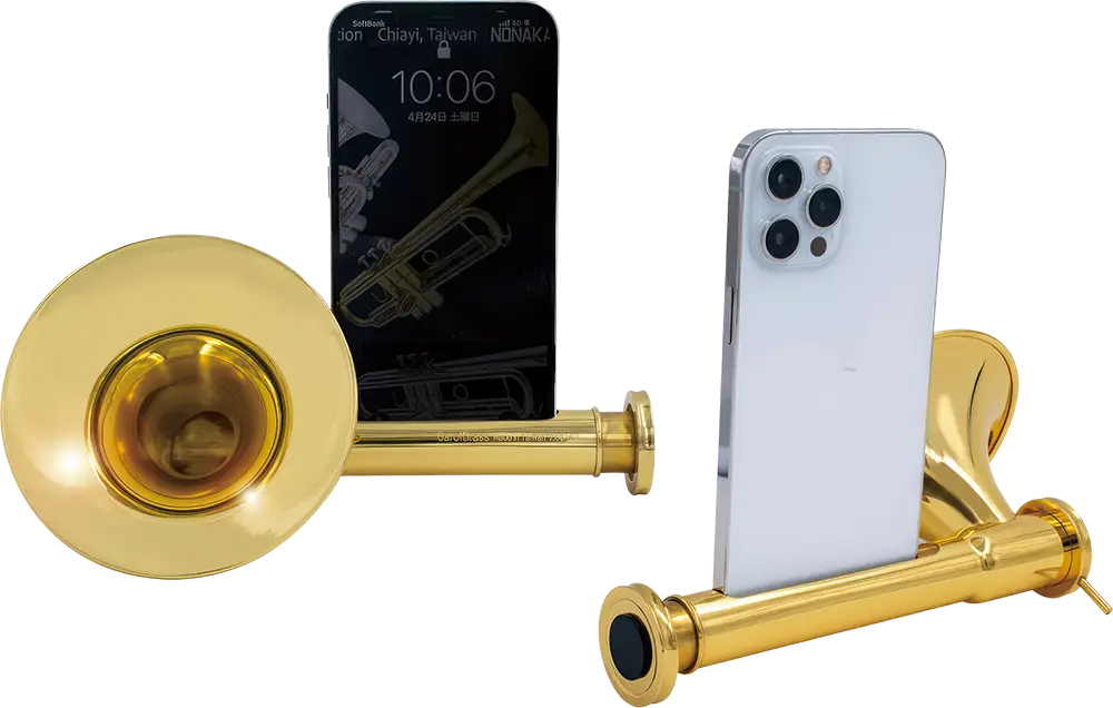 iPhone 12 Pro Maxでの使用例