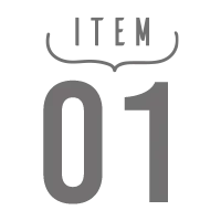 ITEM 01
