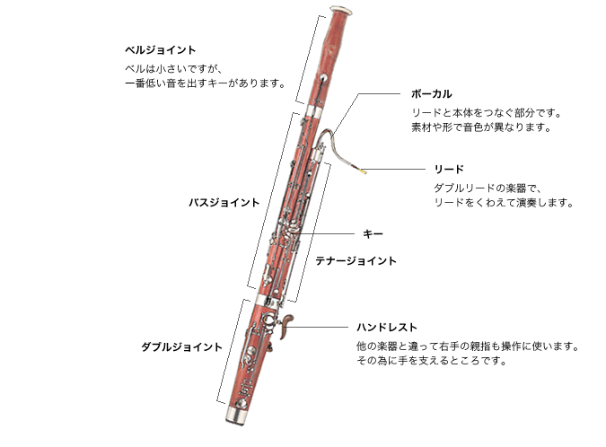 ファゴットの吹き方・名称（リード等） ｜ 楽器のことなら野中貿易