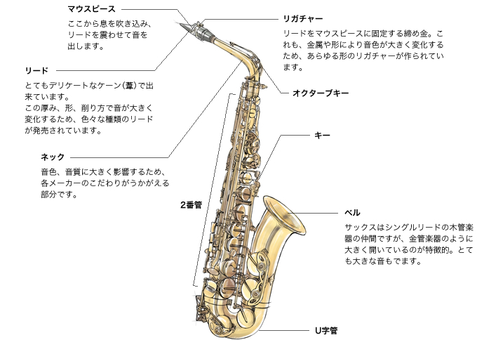 サックスの吹き方 名称 マウスピース リード等 楽器のことなら野中貿易