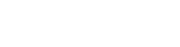 NIR Z