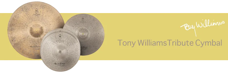 再登場！　Tony Williams Tribute Cymbal