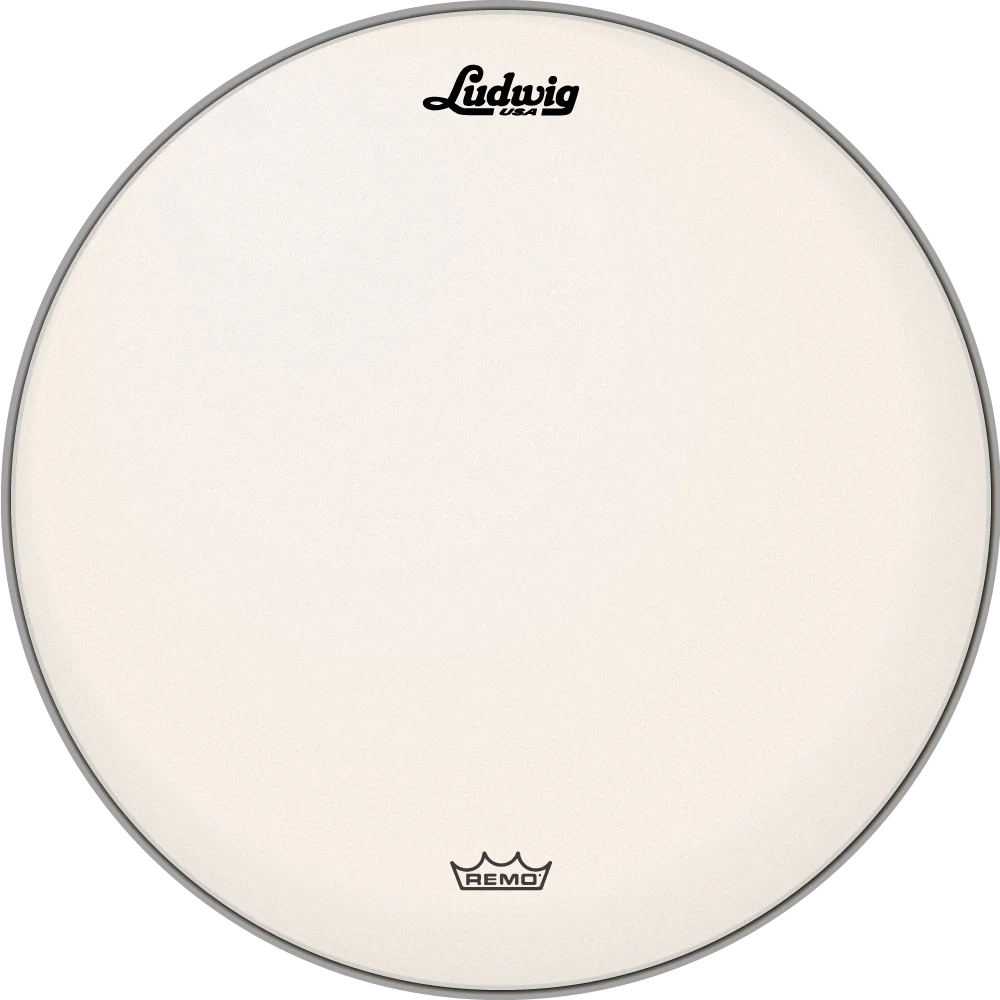 コーテッド・アンバサダー