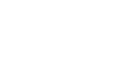 ZO