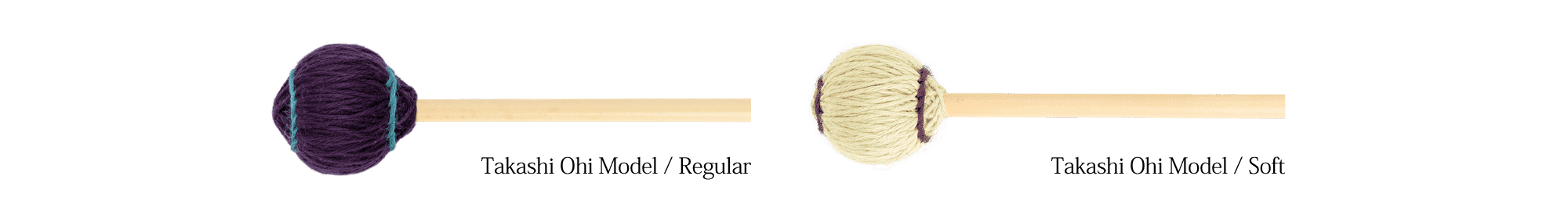 Takashi Ohi Model
