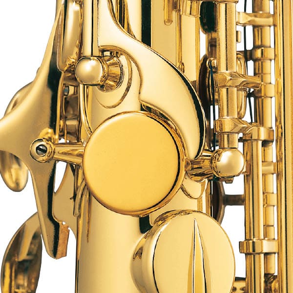 注目ショップ・ブランドのギフト アルトサックスセルマーシリーズⅢネック 管楽器