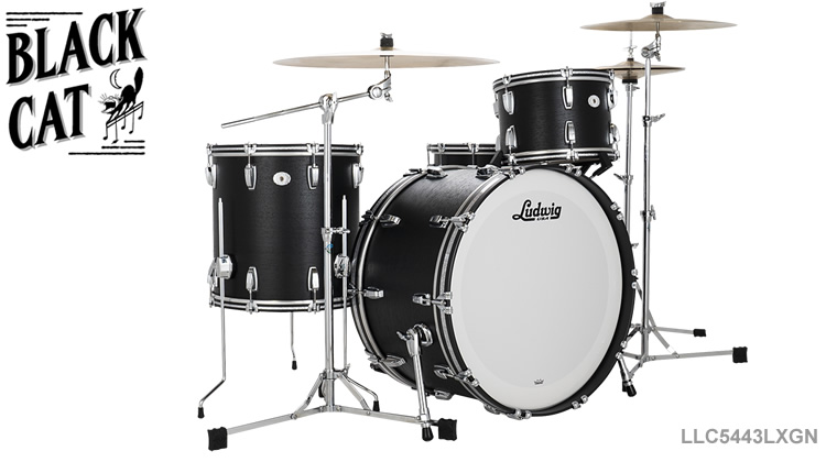 LUDWIG@LEGACY MAHOGANY  BLACK CAT  KV[E}zKj[V[Y@ubNLbg