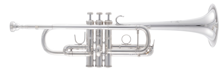 obN C190L229C SP VJSf gybg